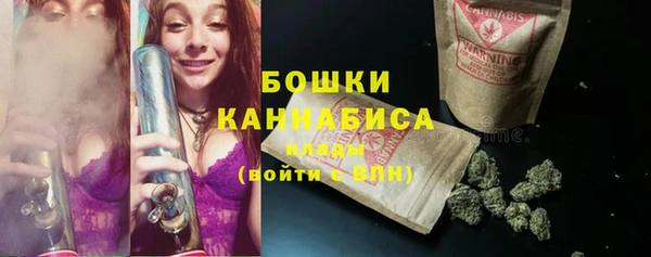 индика Балахна