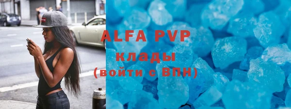 индика Балахна