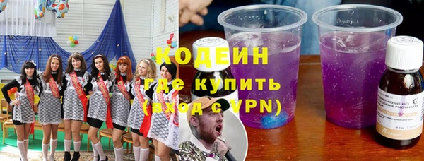 индика Балахна