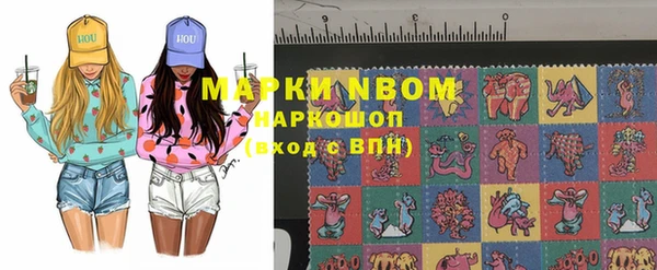 индика Балахна