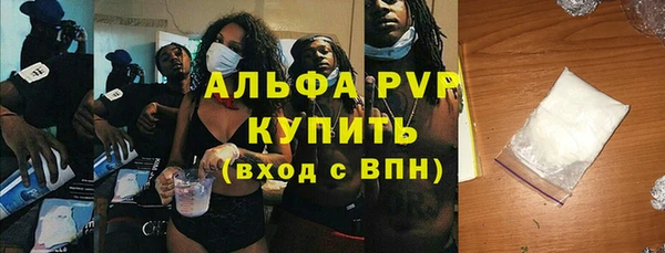 индика Балахна