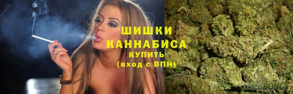 индика Балахна