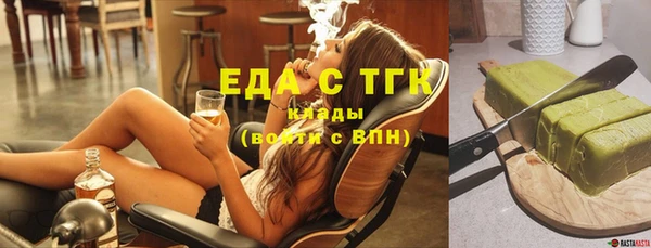 индика Балахна